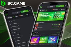 Download the BCStavka APK Your Gateway to Sports Betting