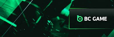 Understanding BC Co A Comprehensive Guide